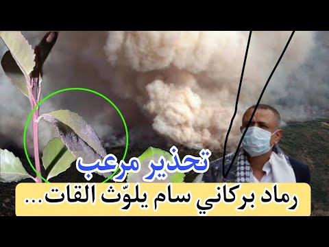 تحذير مرعب لليمنيين رماد بركاني سام يلوث وقرار عاجل يجب تنفيذه خلال 24 ساعة