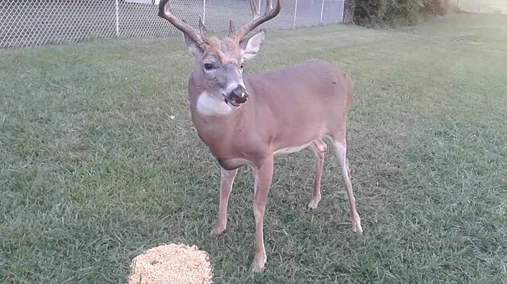 A little nervous, he sees someone walking 1/4 mi away