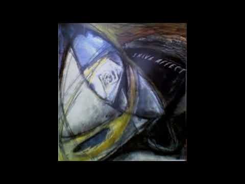 Shiva Affect - Meek