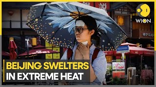 China's hot temperatures break records | Latest World News | WION Climate Tracker