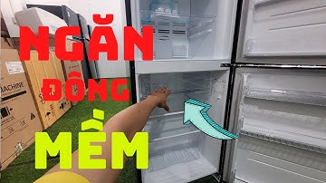 Bí mật về ngăn đông mềm tủ lạnh| ChiếnSiêuLướt
