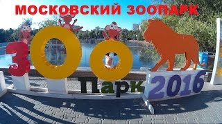 Московский Зоопарк. Смотрим разных животных. Московский Зоопарк. Смотрим разных животных.