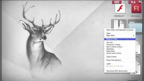 Quick Tip: Use SWFObject to Embed Your Flash Content