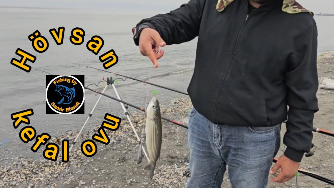 Hövsan kefal ovu. Paddonlar deyilən yer. (12.11.2024).