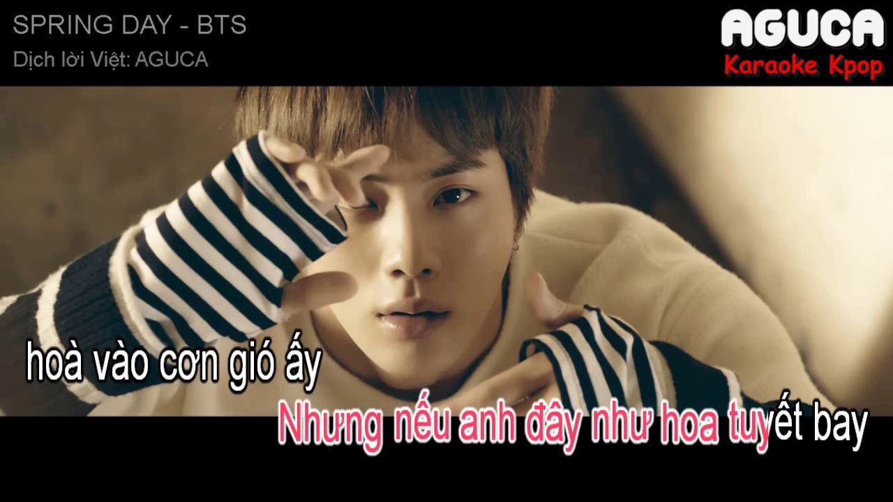 [Karaoke Việt + Audio] SPRING DAY - BTS