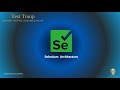 02. Selenium Architecture