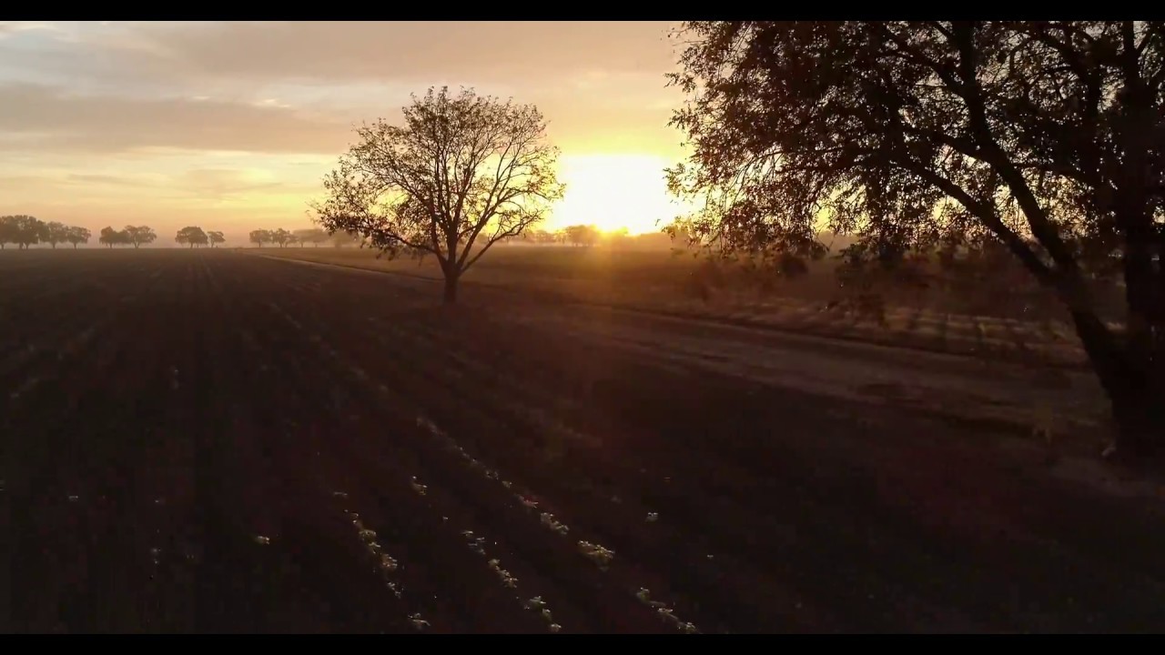 Central California Farmlands Aerial at Sunrise 4K video to gif