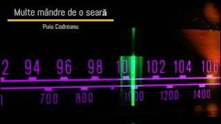 Puiu Codreanu - Multe mândre de o seară