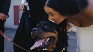 Brook and Blaise's Wedding