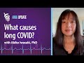 Akiko iwasaki on what causes long covid brain fog the yale paxlovid study and long covid treatment