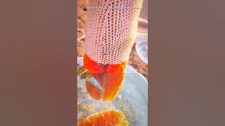 Life lessons ✅💯🔥 #motivation #trendingyoutubeshorts #successsigma #sigmarules #motivationalclips