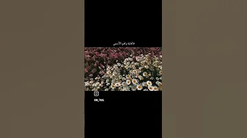 في الجنه نسعى بنضال 