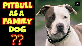 American Pitbull as a family dog | best family dog series | Petsinfomania by PetsInfomania (PI) 271 views 1 year ago 4 minutes, 5 seconds