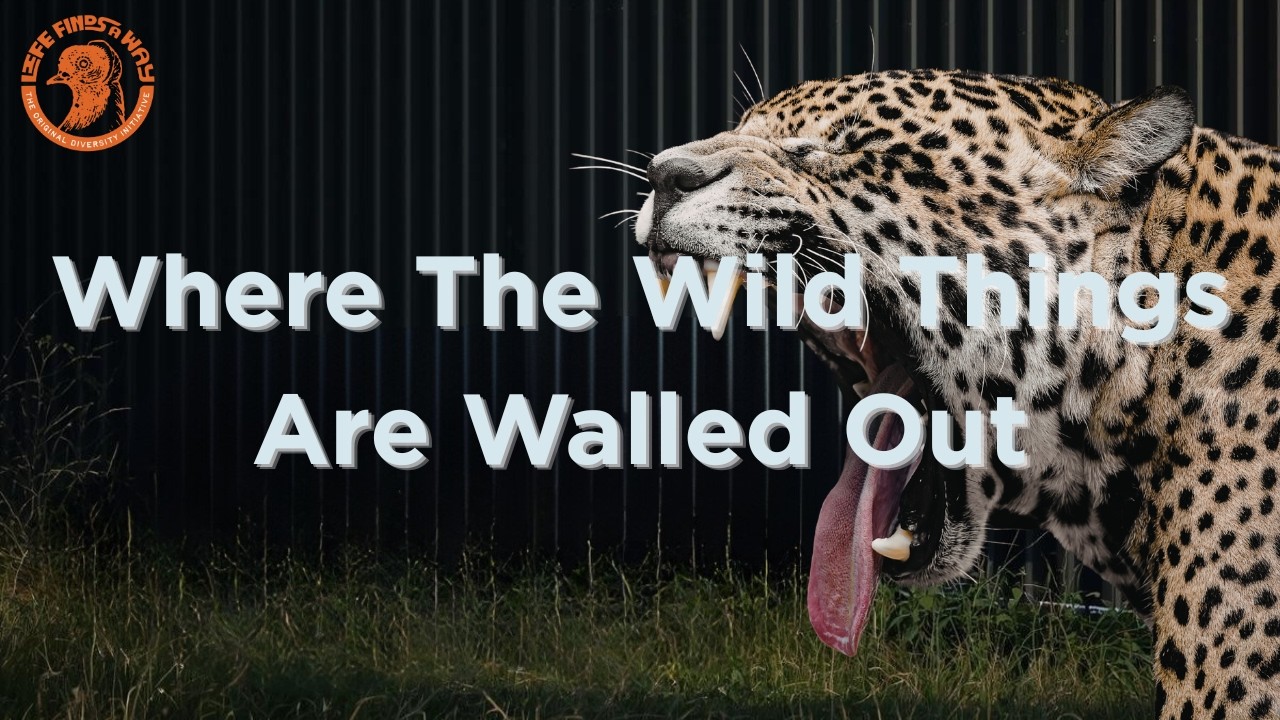 Jaguars Don't Recognize Borders. Border Walls Don't Care.