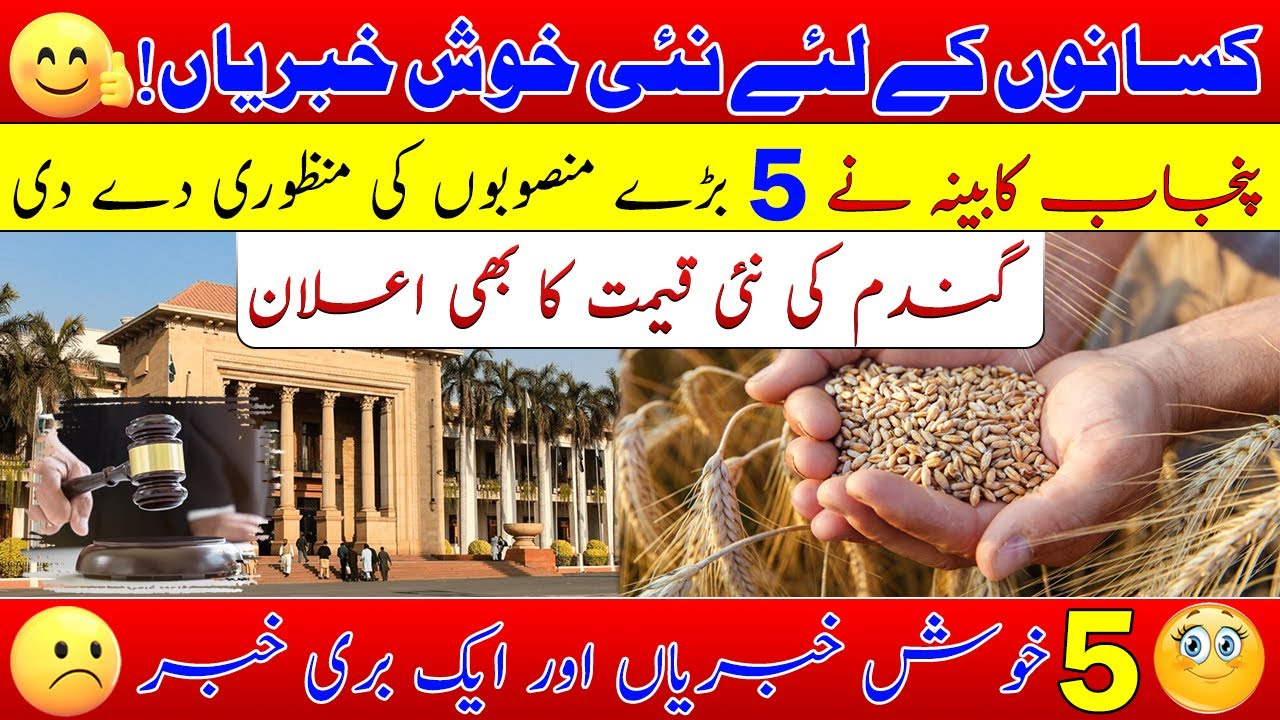 Agriculture development projects 2026| New wheat price| Agriculture policy 2026| گندم قیمت کا اعلان