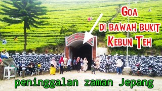 wisata GOA peninggalan zaman Jepang di Kaligua || wisata Gua Jepang 1942