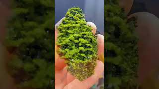 🇺🇸 Sciworthy Is This Stone Valuable