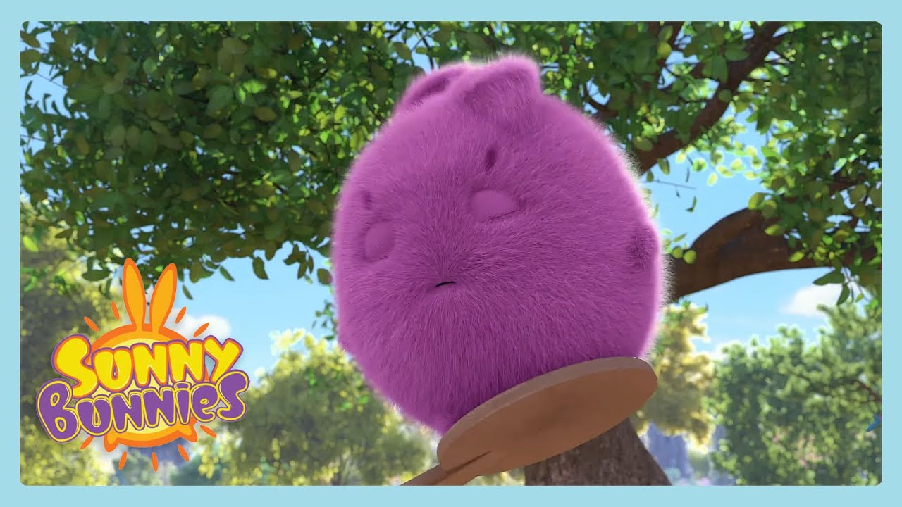 Asleep On The Seesaw | Sunny Bunnies | WildBrain Little Ones