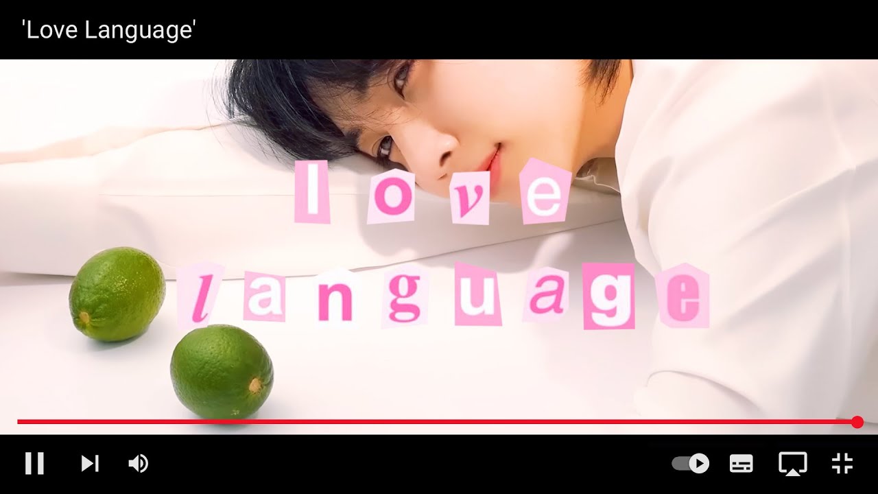 [EDIT] Love Language - #정한