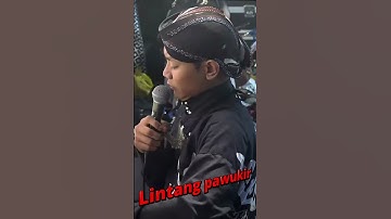 Gadhing Pawukir dan Lintang Kairo  #wayangkulit #wayangkulitindonesia #gadhingpawukir #lintangkairo