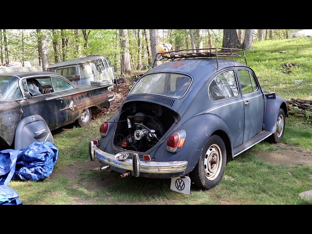 Will it Drive? Yard Find Vw Beetle - First Drive attempt! - YouTube