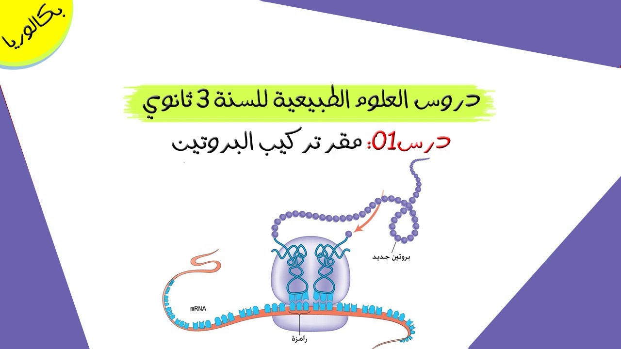 درس01: مقر تركيب البروتين | بكالوريا علوم تجريبية
