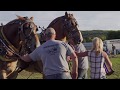 Fall Pull 2019 Heavyweight Horse Pull