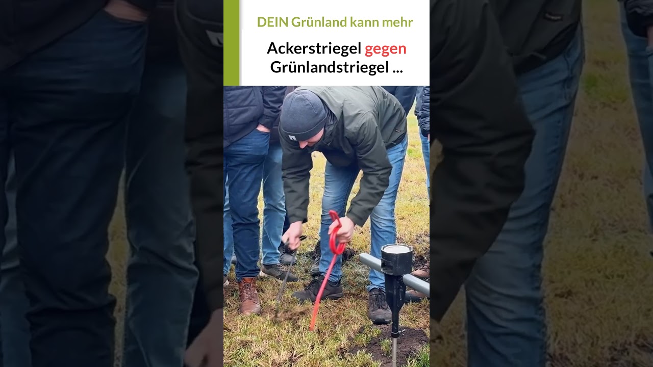 Striegel im Vergleich: Ackerstriegel vs. Grünlandstriegel | Live-Grünlandtag Hans Koch | 