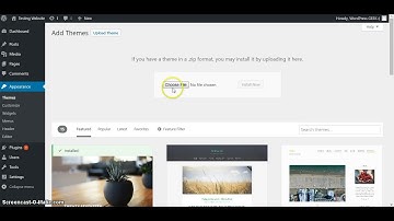 907 - WordPress Theme / Install Theme + Import Demo