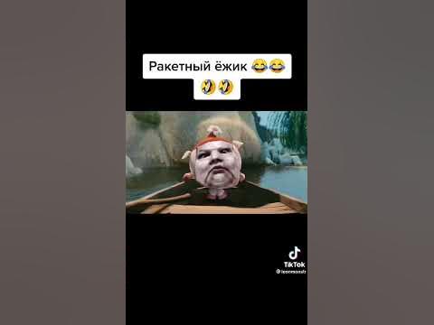 Ракетный ёжик 😂😂😂😂😂😂😂😂 - YouTube