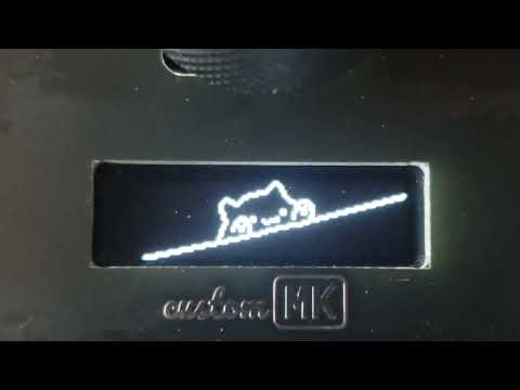 Bongocat on customMK EVO70 in the original aspect ratio
