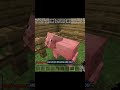 I CAN'T BELIEVE THAT HE CAN DO THIS #minecraft#meme#short#pig#cooks#cow#minecraft#meme#blackrose#sho