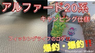 アルファード２０系　キャンピング仕様にパート２