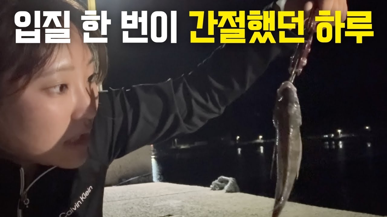 포기하려던 순간 찾아온 기적, 드디어 감성돔을 만났습니다