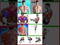 Fitness idea gym Body builder video Six pack workout Cobra back workout #workout #bodybuilding #gym