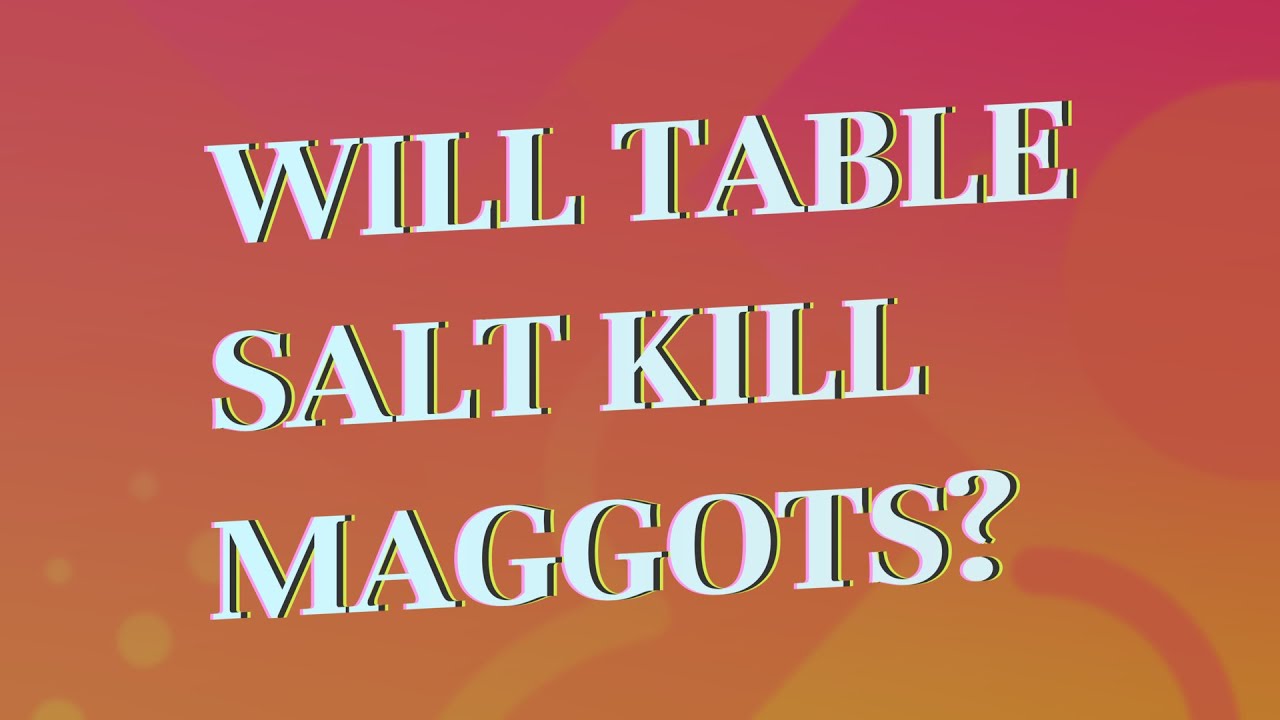 Will table salt kill maggots? YouTube