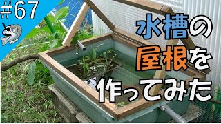 67 水槽に開閉式屋根を付けた I Put A Roof On The Aquarium とびっこメダカ Medaka Youtube