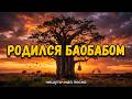 РОДИЛСЯ БАОБАБОМ Нешуточная песня Продолжение легендарной истории 