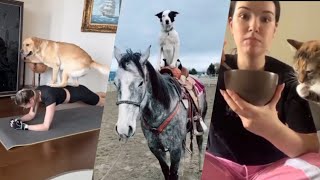 Fails of The Week  😂  EP:25  |  Funny Fails  | Fail Army.