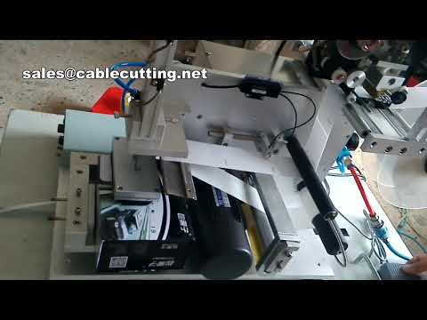 Manual Flat Surface Labeling and Printing Machine for Square Bottles