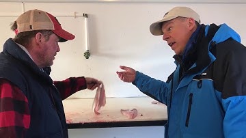 How To Fillet a Walleye FAST