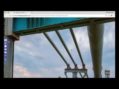 National Geographic and InsertLearning