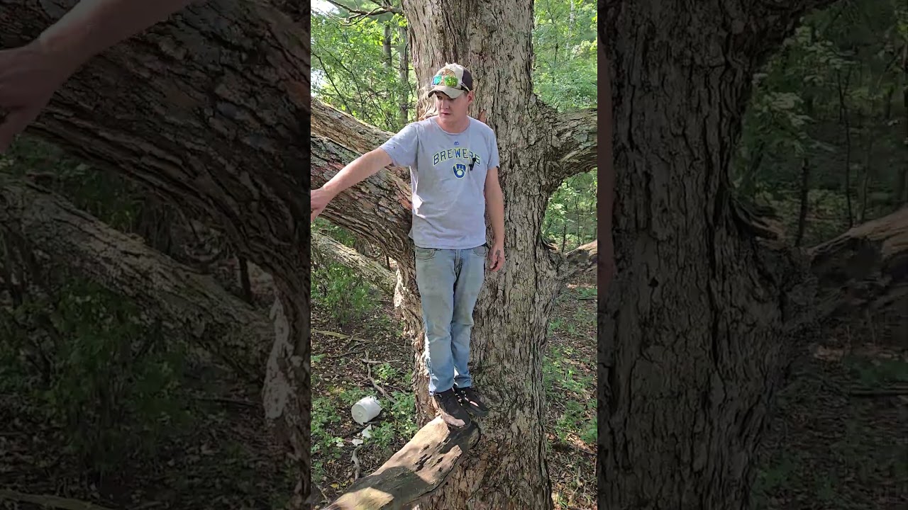 What are people doing?? 