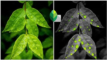 Creative Snapseed Editing 2021 || Green  Water Drops