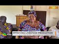 Premtobre Kasee on Adom TV (13-06-26)