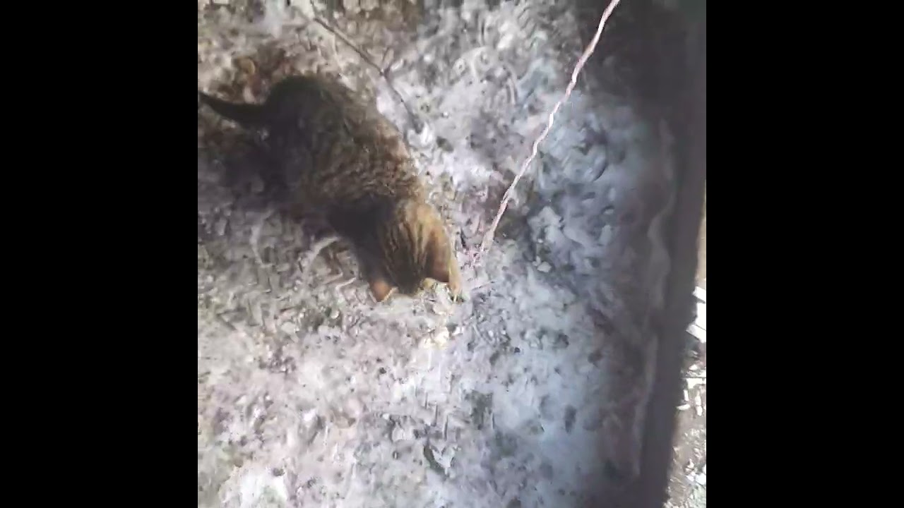 # утро 9.01.2026