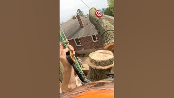 Span Rigging 🏡 #gopro #stihl #fyp #climbing #climb #arborist #tree #trees #rigging #sendit #trees