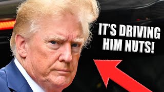 Trump Gets BRUTALLY Mocked For Viral "They're Eating Dogs"