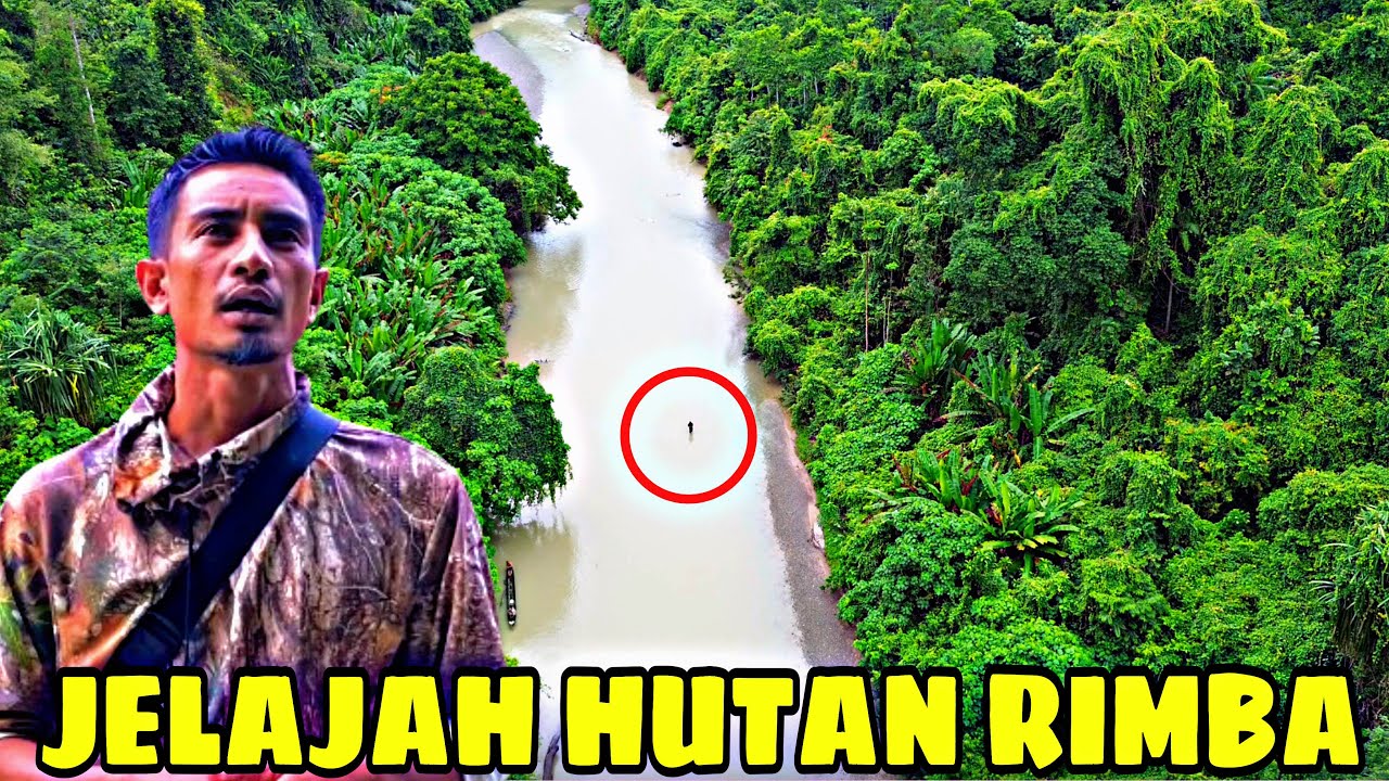 1 HARI 1 MALAM JELAJAH HUTAN, PASANG TAJUR SIDAT HULU SUNGAI, MENCARI JEJAK GAJAH LIAR ❗️