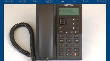 Mitel 6863i Phone: How to Use Mute